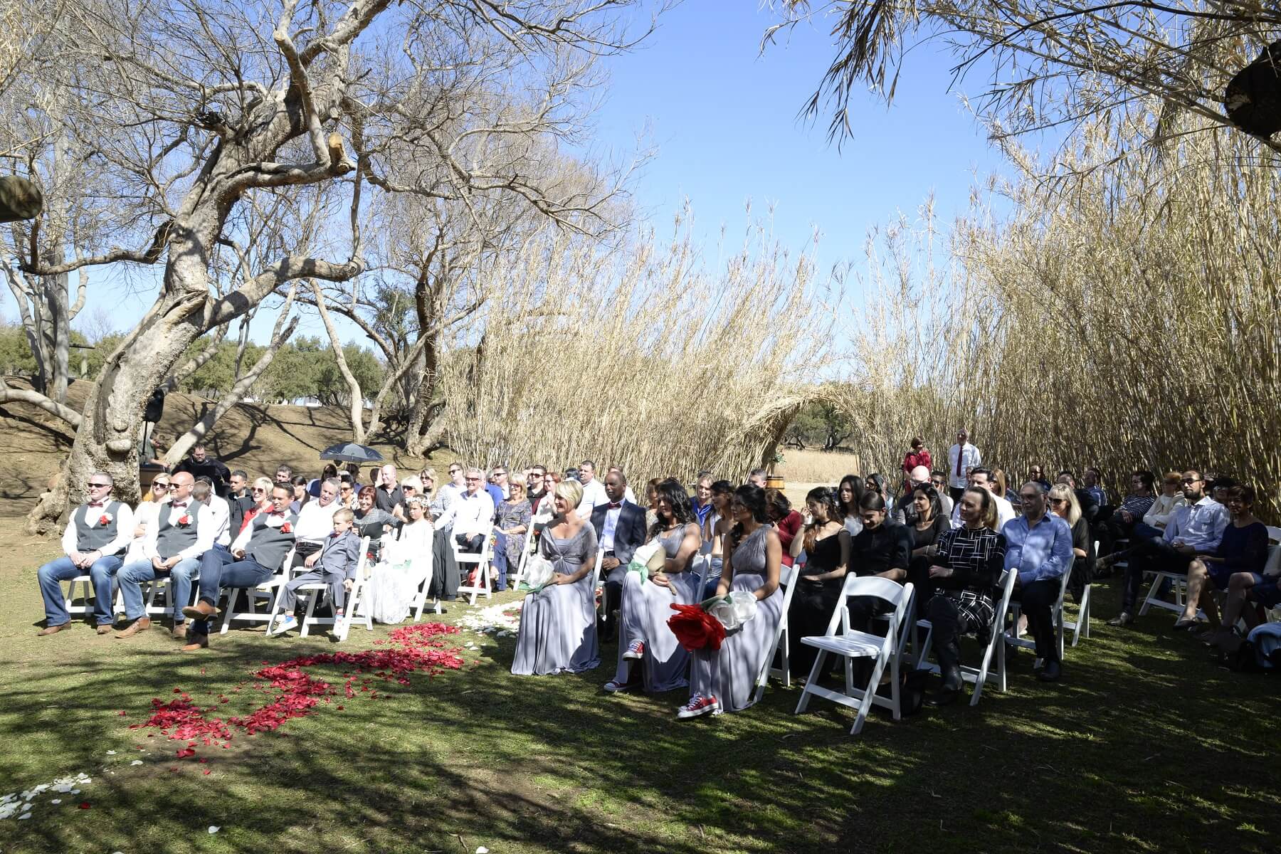 Weddings (12)